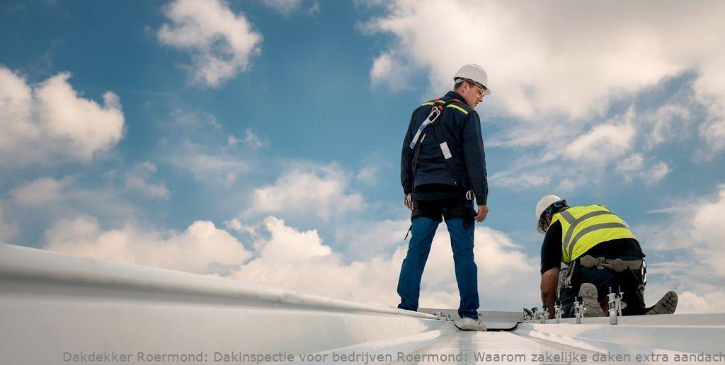 Dakinspectie Voor Bedrijven Roermond