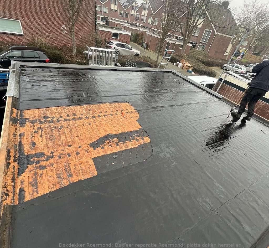 Dakleer Reparatie Roermond