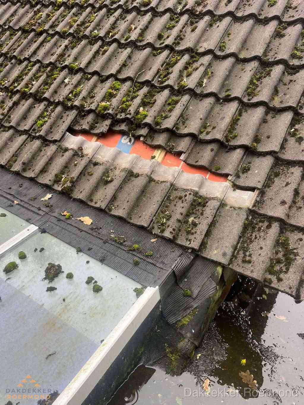 Dakpannen Repareren Roermond