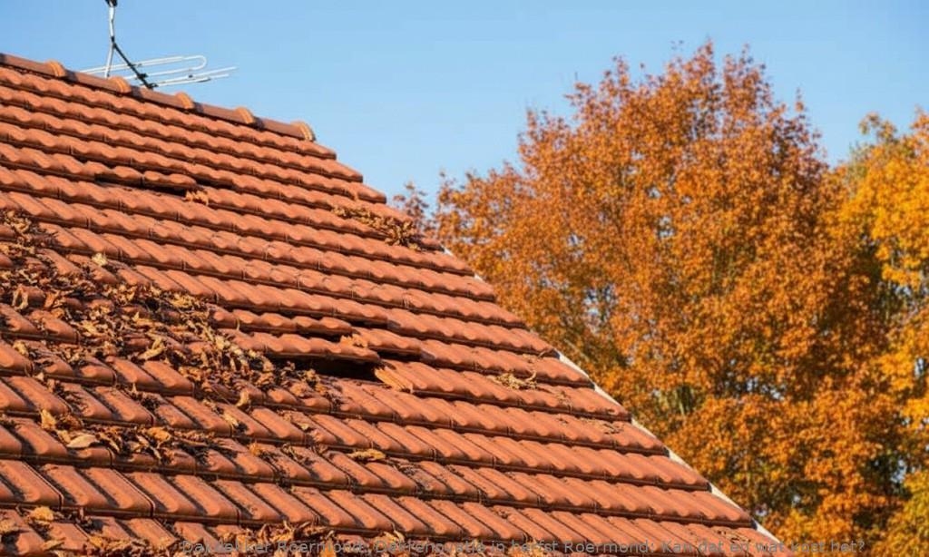 Dakrenovatie In Herfst Roermond