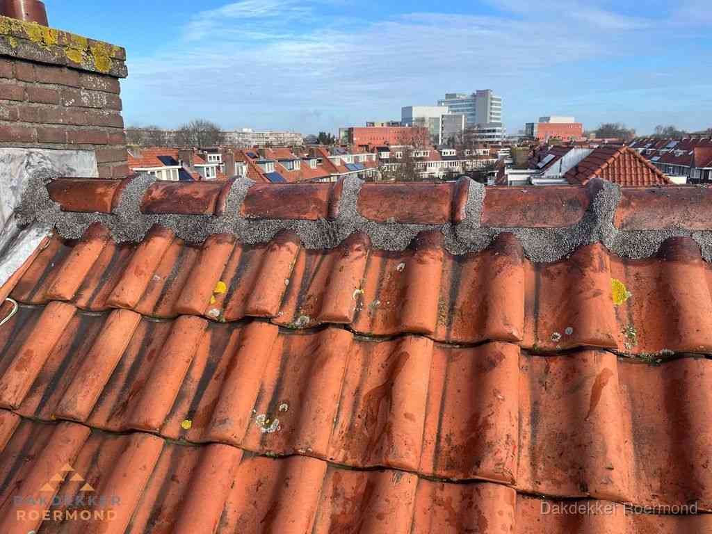 Roermond Daken Renoveren