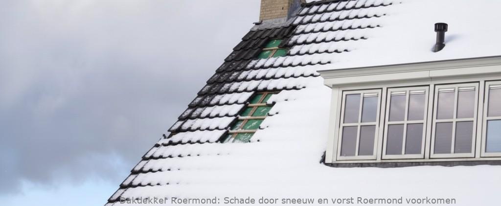 Schade Door Sneeuw En Vorst Roermond