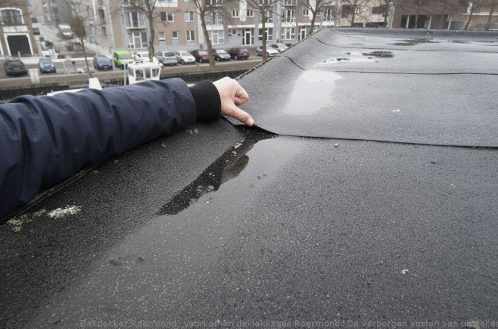 Voorkomen Daklekkages Roermond